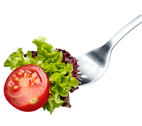 Culinária Saudável